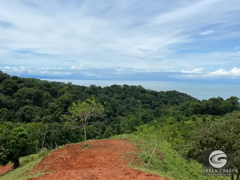 Ocean-View Ridge Estate in Piñuela: 3 Prime Building Sites Near Uvita — view 10, Uvita, Costa Rica