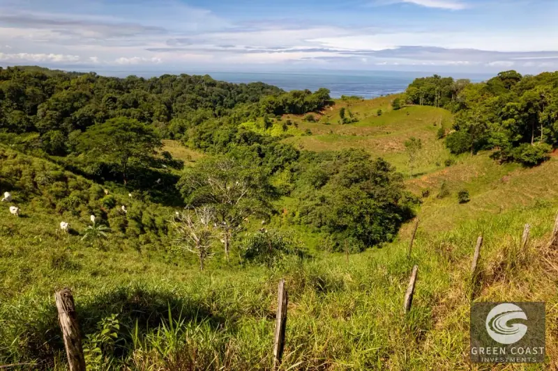 Ocean-View Ridge Estate in Piñuela: 3 Prime Building Sites Near Uvita — view 20, Uvita, Costa Rica