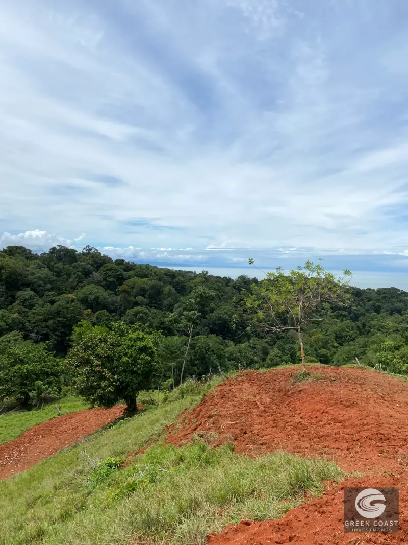 Ocean-View Ridge Estate in Piñuela: 3 Prime Building Sites Near Uvita — view 26, Uvita, Costa Rica