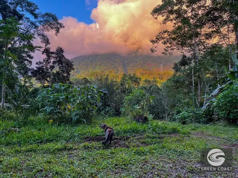 5-Bed Diamante Valley Eco-Sanctuary with Majestic Waterfall Views & Yoga Studio — view 5, Tinamastes, Perez Zeledon, Costa Rica