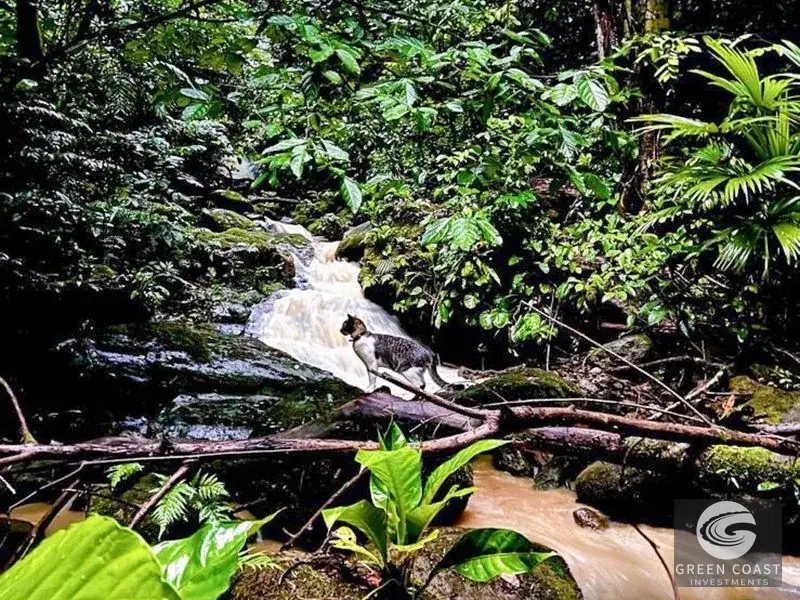 5-Bed Diamante Valley Eco-Sanctuary with Majestic Waterfall Views & Yoga Studio — view 7, Tinamastes, Perez Zeledon, Costa Rica