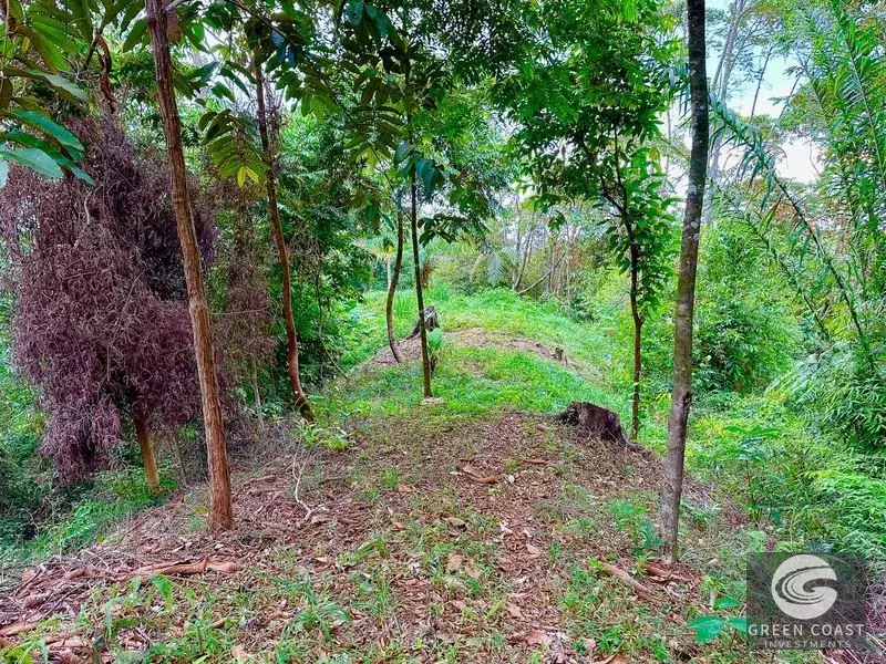 Luxury 2-Acre Ocean View Lot in Costa Verde Estates with Panoramic Whale's Tail & Sunset Vistas — view 8, Dominical, Costa Rica