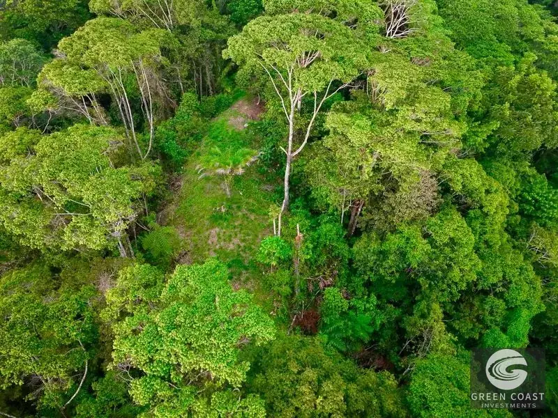 Luxury 2-Acre Ocean View Lot in Costa Verde Estates with Panoramic Whale's Tail & Sunset Vistas — view 17, Dominical, Costa Rica