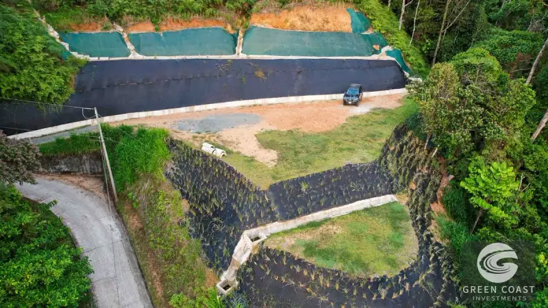 Luxury 2-Acre Ocean View Lot in Costa Verde Estates with Panoramic Whale's Tail & Sunset Vistas — view 31, Dominical, Costa Rica