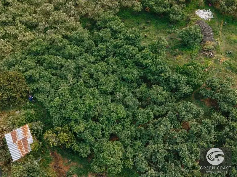 Luxury 4-Hectare Apple & Avocado Estate with River and Mountain Cabin in Scenic Dota — view 5, Dota, Costa Rica