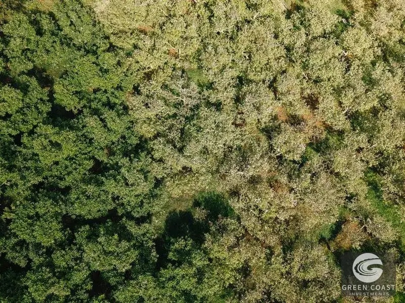 Luxury 4-Hectare Apple & Avocado Estate with River and Mountain Cabin in Scenic Dota — view 8, Dota, Costa Rica