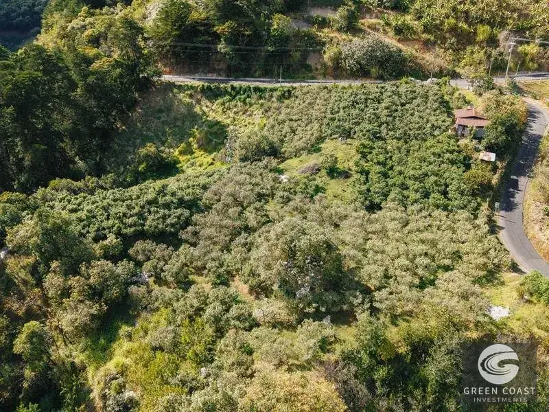 Luxury 4-Hectare Apple & Avocado Estate with River and Mountain Cabin in Scenic Dota — view 17, Dota, Costa Rica