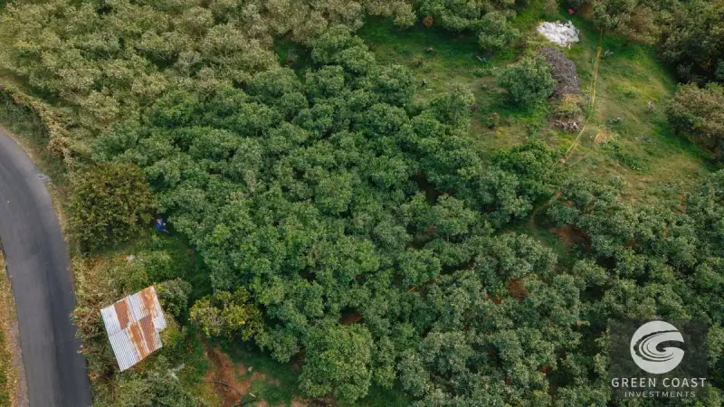 Luxury 4-Hectare Apple & Avocado Estate with River and Mountain Cabin in Scenic Dota — view 38, Dota, Costa Rica