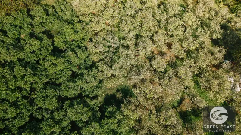 Luxury 4-Hectare Apple & Avocado Estate with River and Mountain Cabin in Scenic Dota — view 41, Dota, Costa Rica