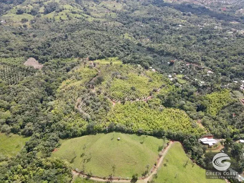Mountain Bamboo Sanctuary with Rivers & Ocean Access in Perez Zeledon — view 3, Perez Zeledon, Costa Rica