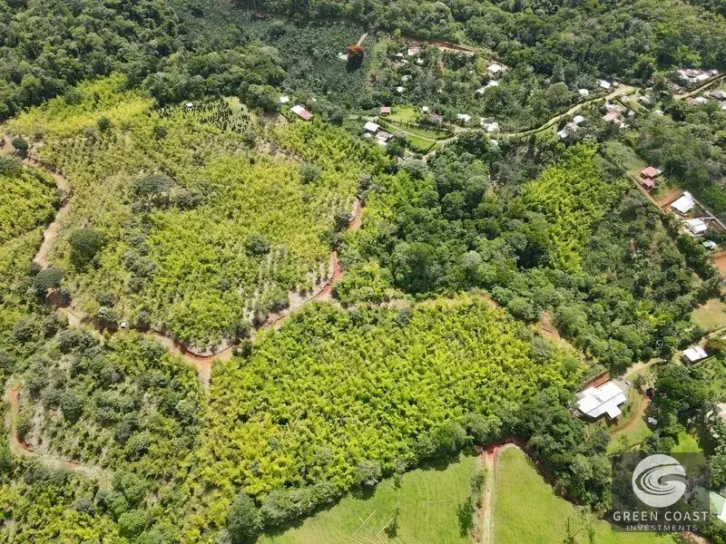 Mountain Bamboo Sanctuary with Rivers & Ocean Access in Perez Zeledon — view 4, Perez Zeledon, Costa Rica