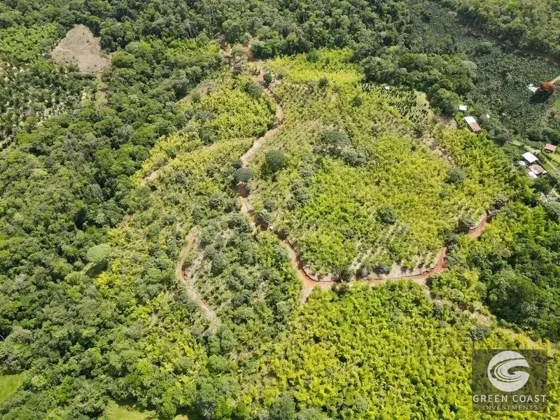 Mountain Bamboo Sanctuary with Rivers & Ocean Access in Perez Zeledon — view 5, Perez Zeledon, Costa Rica
