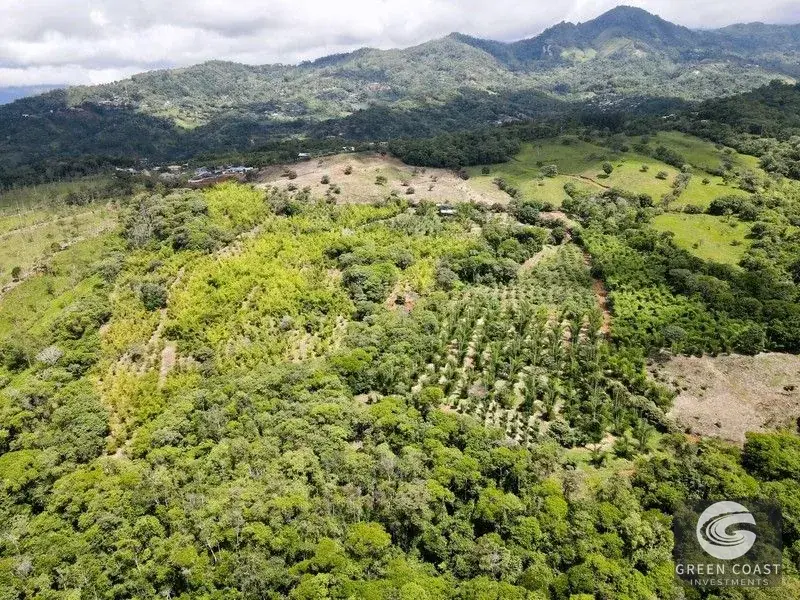 Mountain Bamboo Sanctuary with Rivers & Ocean Access in Perez Zeledon — view 6, Perez Zeledon, Costa Rica