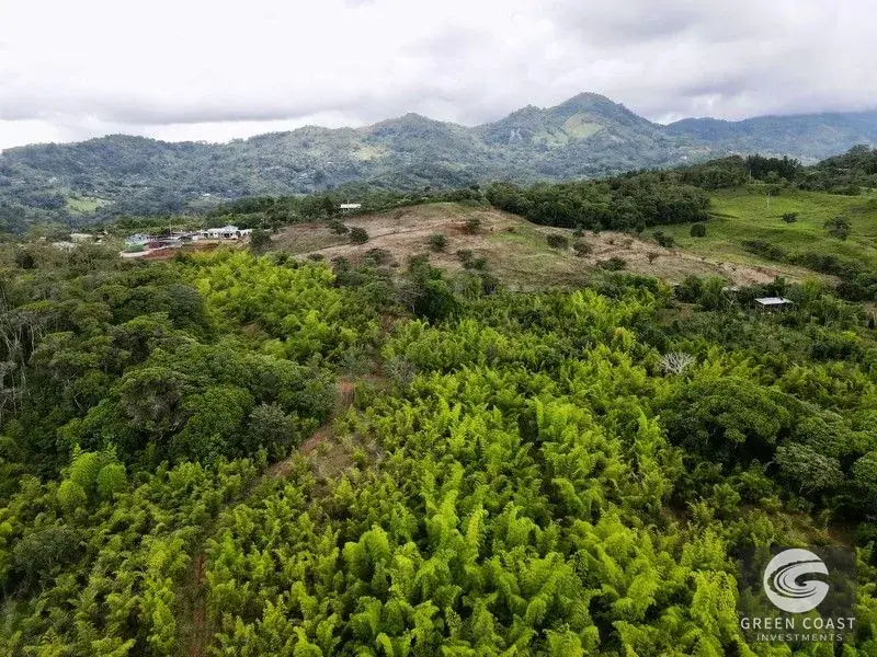 Mountain Bamboo Sanctuary with Rivers & Ocean Access in Perez Zeledon — view 9, Perez Zeledon, Costa Rica