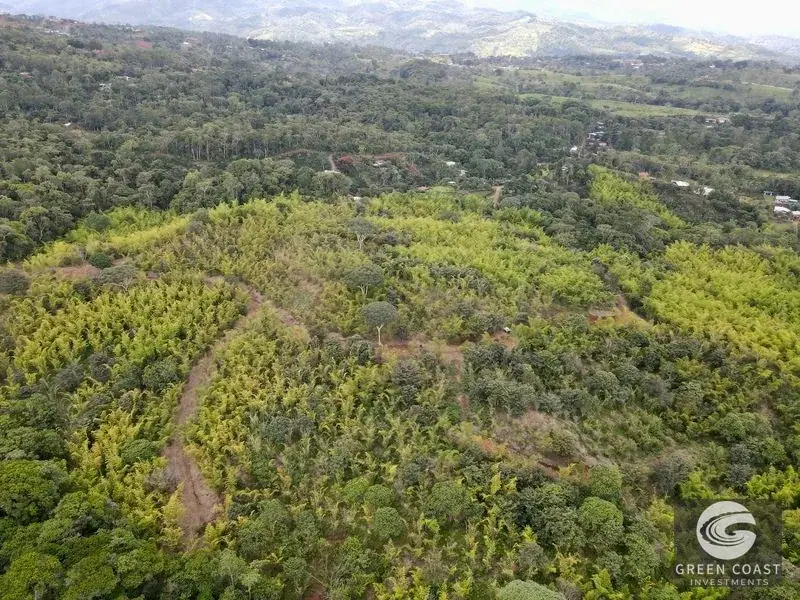 Mountain Bamboo Sanctuary with Rivers & Ocean Access in Perez Zeledon — view 10, Perez Zeledon, Costa Rica