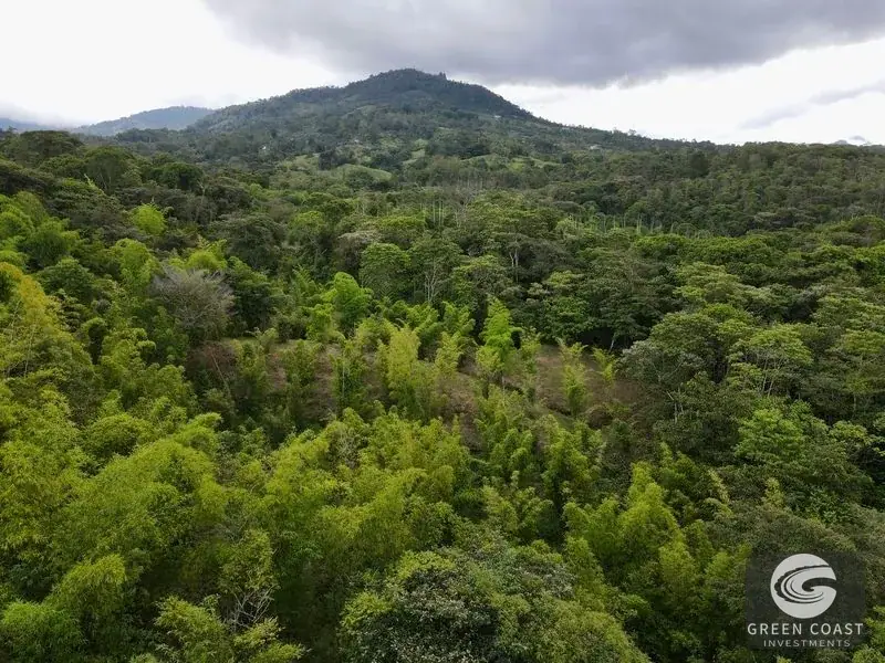 Mountain Bamboo Sanctuary with Rivers & Ocean Access in Perez Zeledon — view 11, Perez Zeledon, Costa Rica