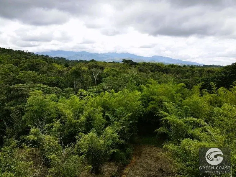 Mountain Bamboo Sanctuary with Rivers & Ocean Access in Perez Zeledon — view 12, Perez Zeledon, Costa Rica