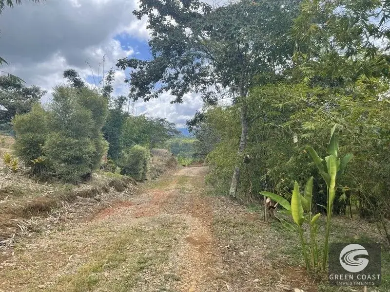 Mountain Bamboo Sanctuary with Rivers & Ocean Access in Perez Zeledon — view 14, Perez Zeledon, Costa Rica