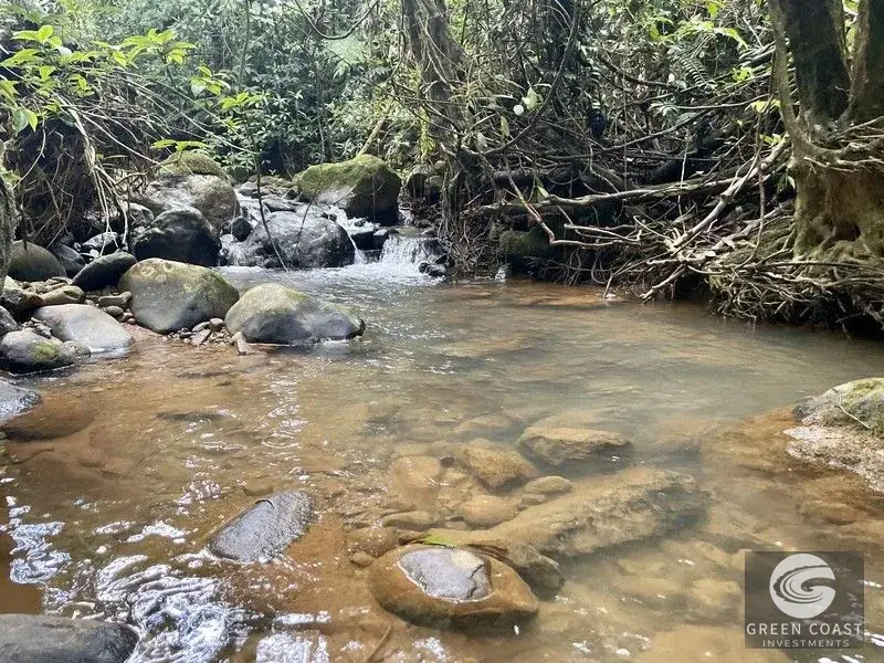 Mountain Bamboo Sanctuary with Rivers & Ocean Access in Perez Zeledon — view 16, Perez Zeledon, Costa Rica