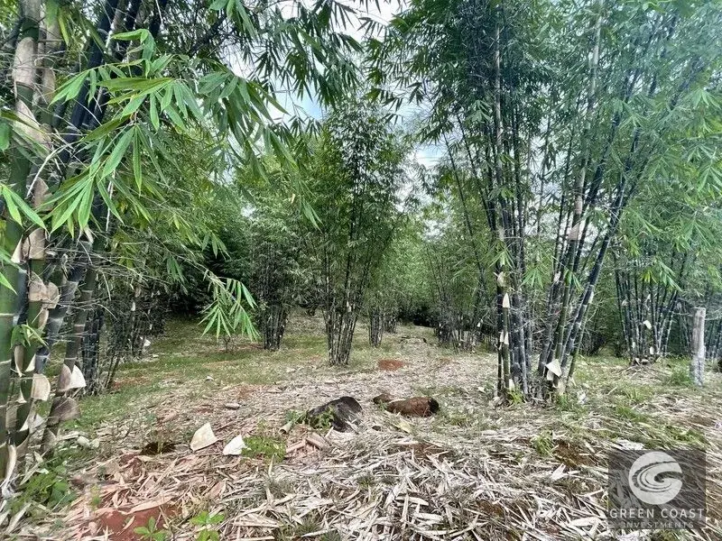 Mountain Bamboo Sanctuary with Rivers & Ocean Access in Perez Zeledon — view 20, Perez Zeledon, Costa Rica