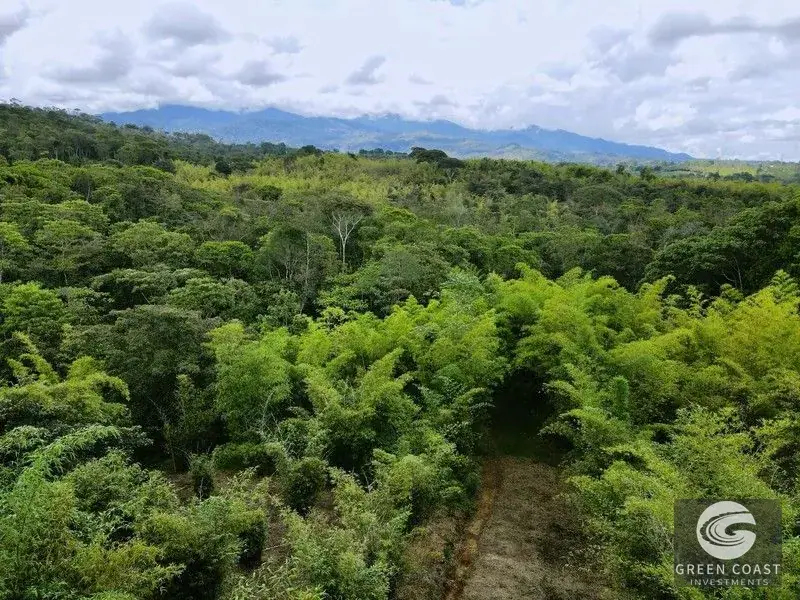 Mountain Bamboo Sanctuary with Rivers & Ocean Access in Perez Zeledon — view 27, Perez Zeledon, Costa Rica