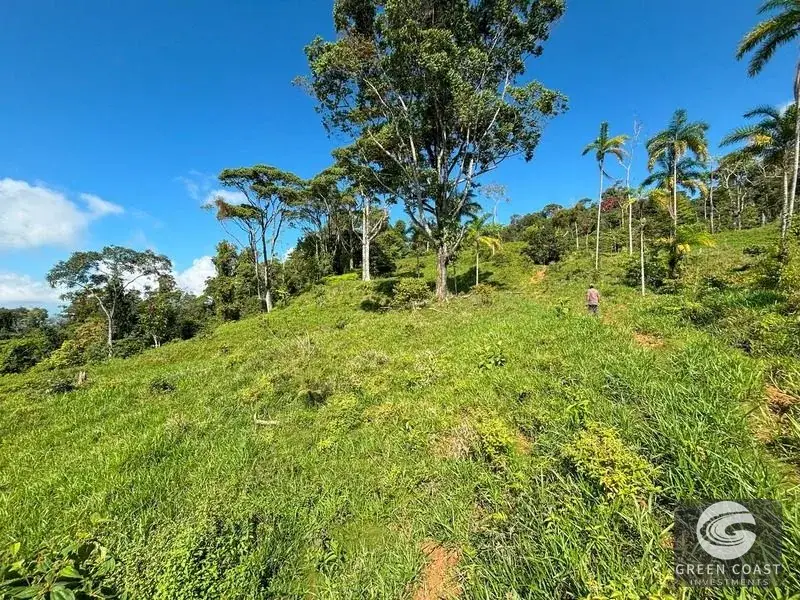 Mountain Bamboo Sanctuary with Rivers & Ocean Access in Perez Zeledon — view 31, Perez Zeledon, Costa Rica