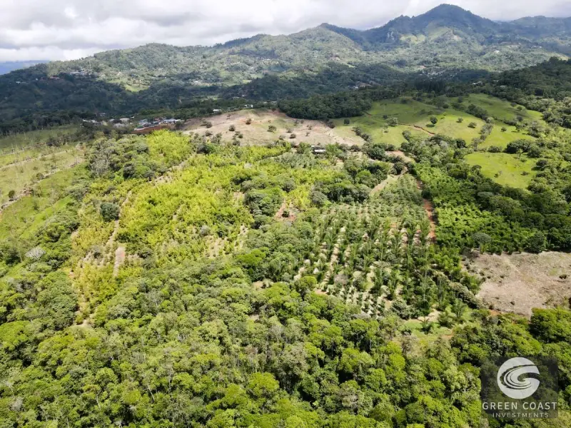 Mountain Bamboo Sanctuary with Rivers & Ocean Access in Perez Zeledon — view 37, Perez Zeledon, Costa Rica