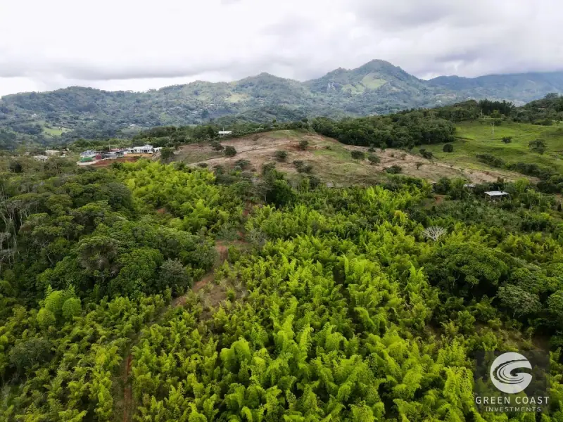 Mountain Bamboo Sanctuary with Rivers & Ocean Access in Perez Zeledon — view 40, Perez Zeledon, Costa Rica