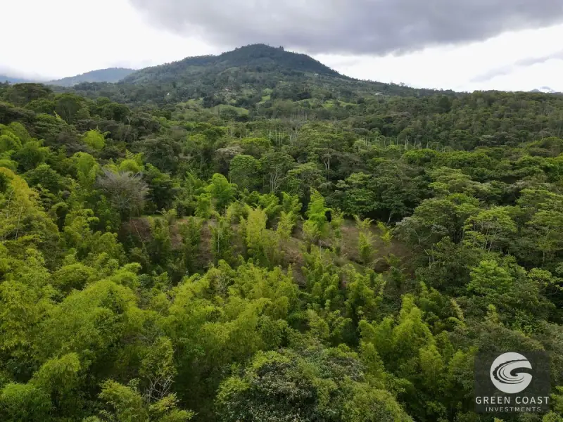 Mountain Bamboo Sanctuary with Rivers & Ocean Access in Perez Zeledon — view 42, Perez Zeledon, Costa Rica