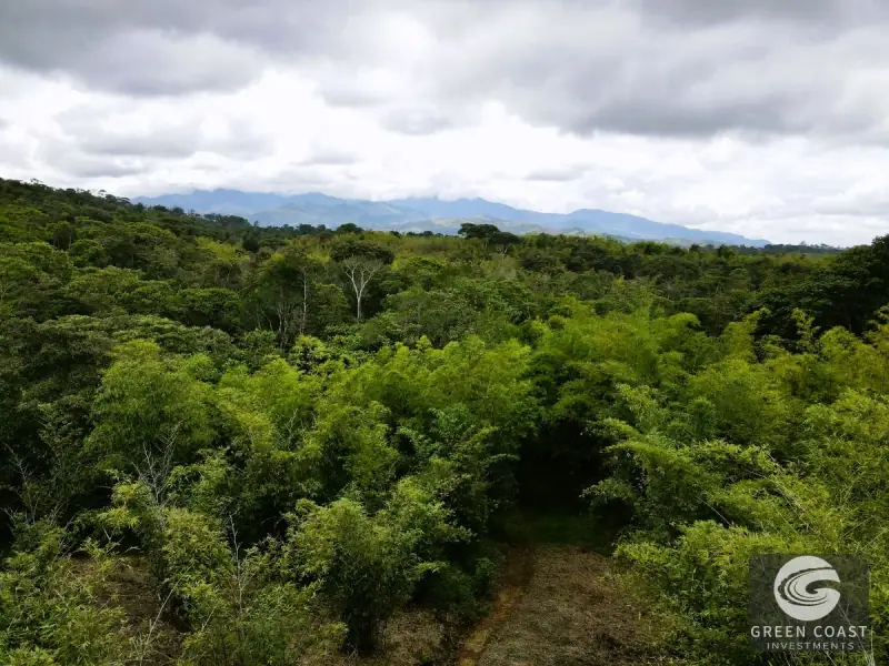 Mountain Bamboo Sanctuary with Rivers & Ocean Access in Perez Zeledon — view 43, Perez Zeledon, Costa Rica