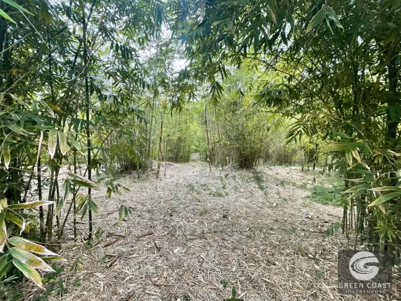 Mountain Bamboo Sanctuary with Rivers & Ocean Access in Perez Zeledon — view 44, Perez Zeledon, Costa Rica