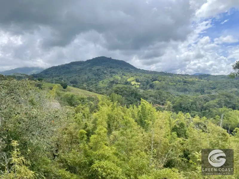 Mountain Bamboo Sanctuary with Rivers & Ocean Access in Perez Zeledon — view 46, Perez Zeledon, Costa Rica