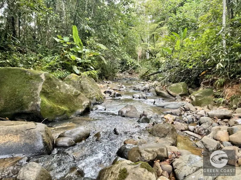 Mountain Bamboo Sanctuary with Rivers & Ocean Access in Perez Zeledon — view 48, Perez Zeledon, Costa Rica