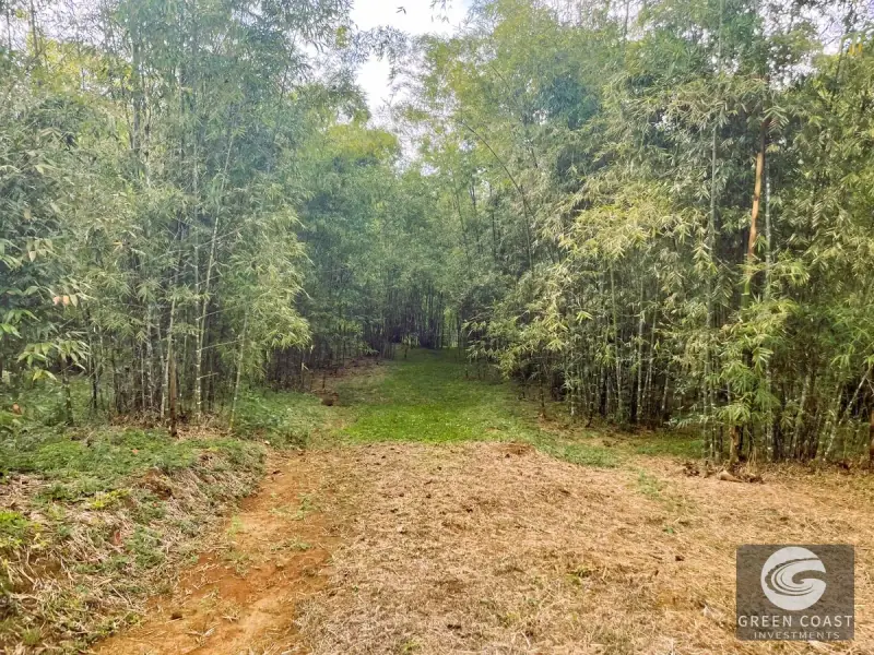 Mountain Bamboo Sanctuary with Rivers & Ocean Access in Perez Zeledon — view 49, Perez Zeledon, Costa Rica