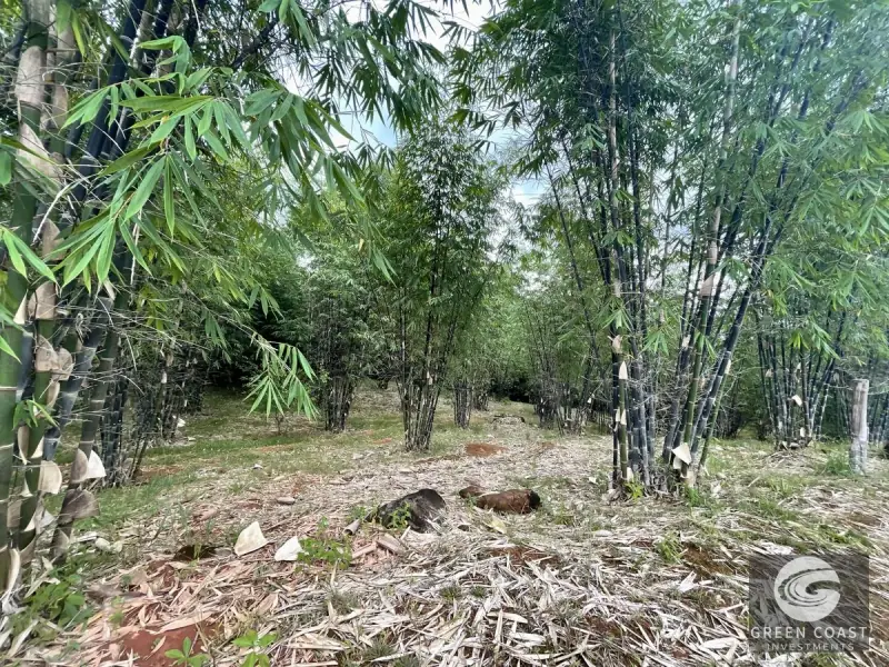 Mountain Bamboo Sanctuary with Rivers & Ocean Access in Perez Zeledon — view 51, Perez Zeledon, Costa Rica