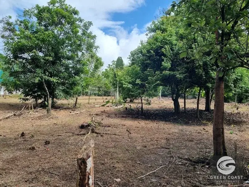 Prime Uvita Commercial Development Lot: 4-BR Structure Near Marino Ballena National Park — view 1, Uvita, Costa Rica