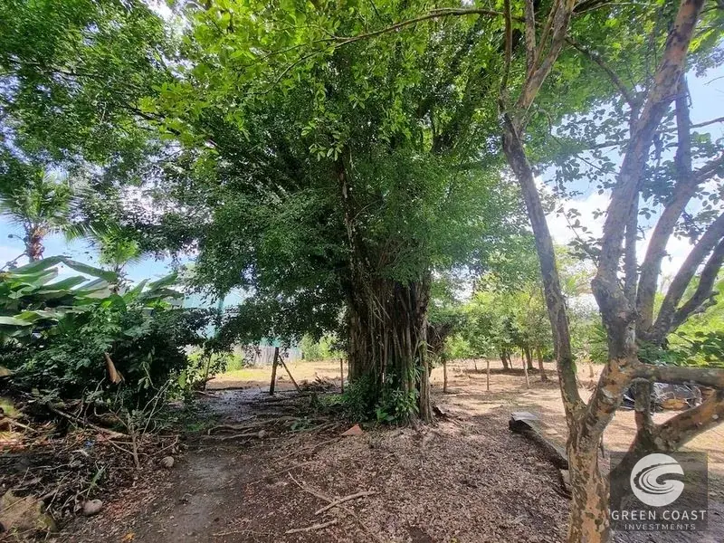 Prime Uvita Commercial Development Lot: 4-BR Structure Near Marino Ballena National Park — view 2, Uvita, Costa Rica
