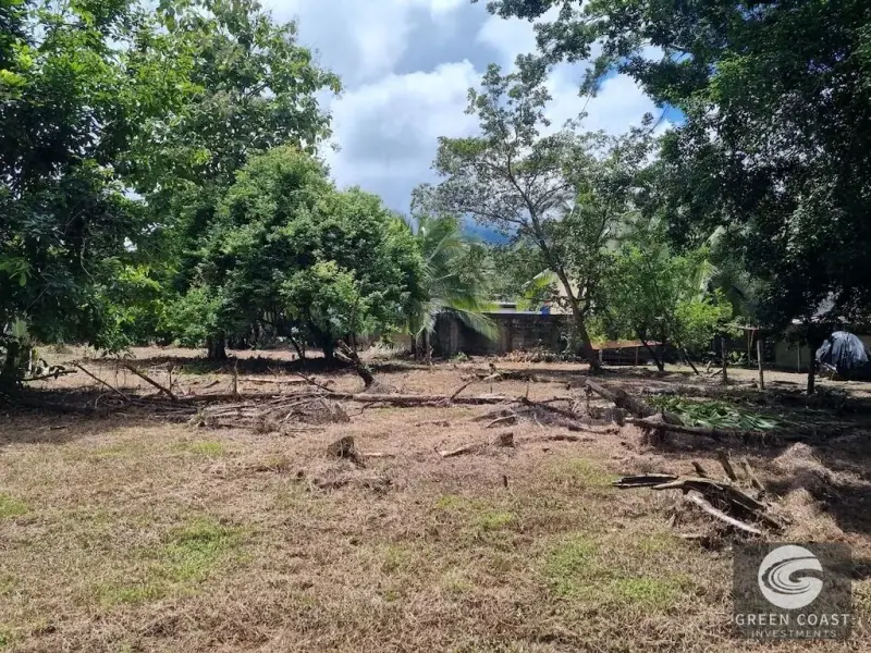 Prime Uvita Commercial Development Lot: 4-BR Structure Near Marino Ballena National Park — view 45, Uvita, Costa Rica