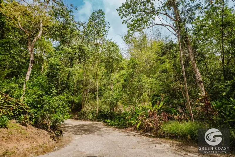 Manuel Antonio Luxury Ocean-View Hilltop Lot: 2.5-Acre Estate Parcel — view 59, Manuel Antonio, Costa Rica
