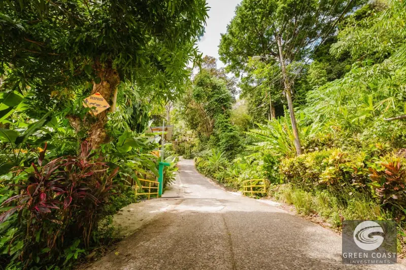 Manuel Antonio Luxury Ocean-View Hilltop Lot: 2.5-Acre Estate Parcel — view 61, Manuel Antonio, Costa Rica