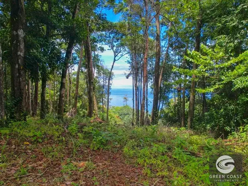17-Acre Luxury Ocean View Estate Lot with Private Waterfalls in Exclusive Escaleras Gated Community — view 4, Dominical, Costa Rica