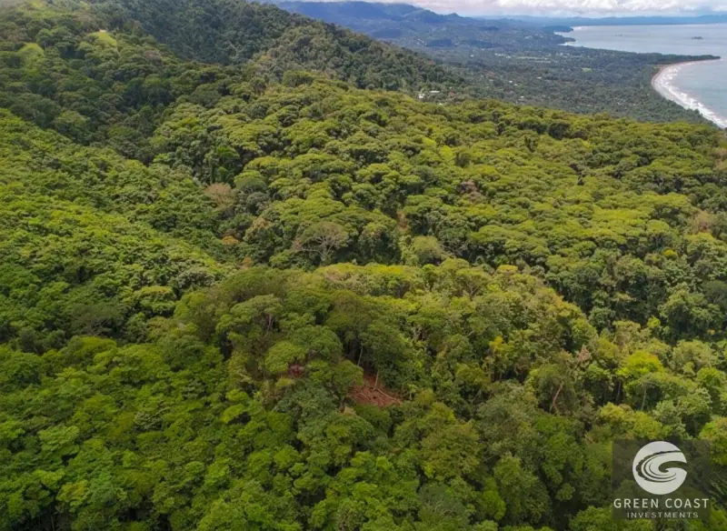 17-Acre Luxury Ocean View Estate Lot with Private Waterfalls in Exclusive Escaleras Gated Community — view 5, Dominical, Costa Rica