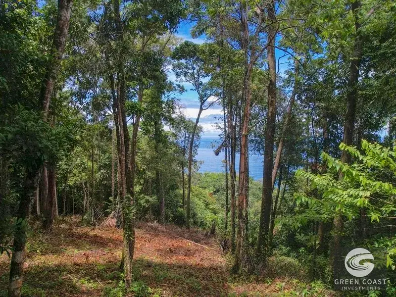 17-Acre Luxury Ocean View Estate Lot with Private Waterfalls in Exclusive Escaleras Gated Community — view 22, Dominical, Costa Rica