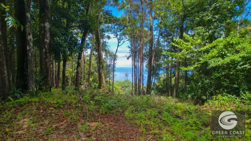17-Acre Luxury Ocean View Estate Lot with Private Waterfalls in Exclusive Escaleras Gated Community — view 33, Dominical, Costa Rica