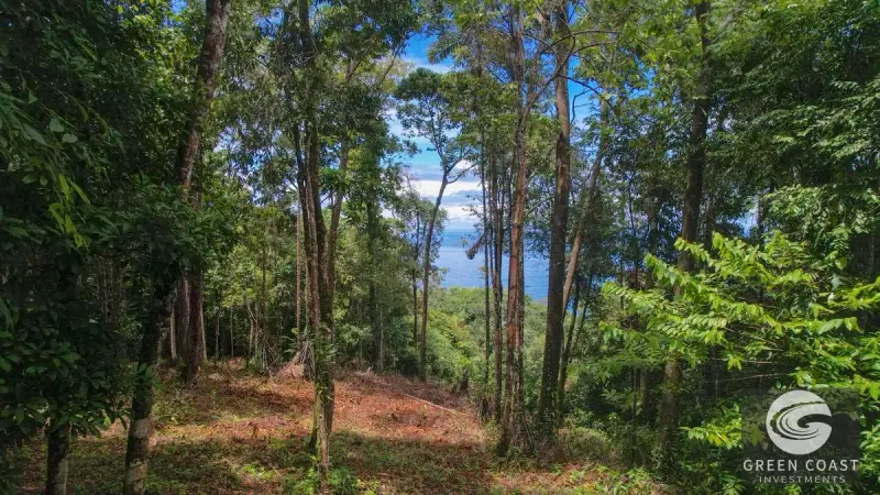 17-Acre Luxury Ocean View Estate Lot with Private Waterfalls in Exclusive Escaleras Gated Community — view 51, Dominical, Costa Rica