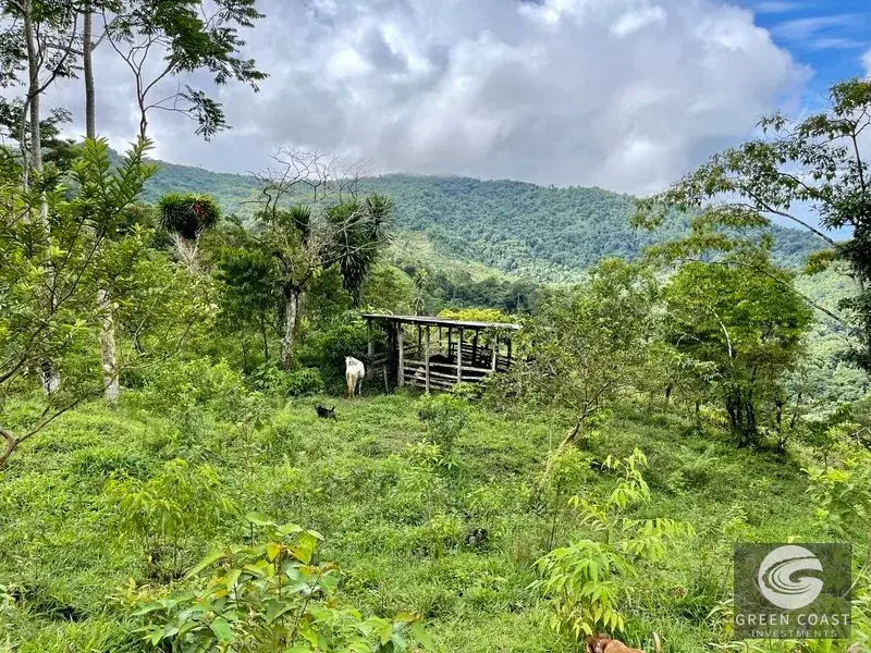 83-Acre Ocean View Mountain Estate with Waterfalls and Natural Springs in Uvita — view 11, Bahía Ballena, Osa, Costa Rica