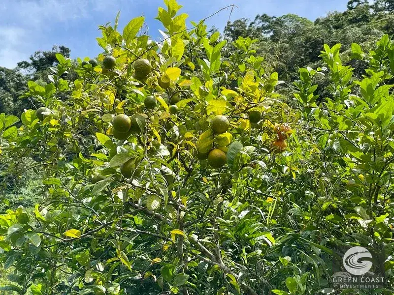 83-Acre Ocean View Mountain Estate with Waterfalls and Natural Springs in Uvita — view 15, Bahía Ballena, Osa, Costa Rica