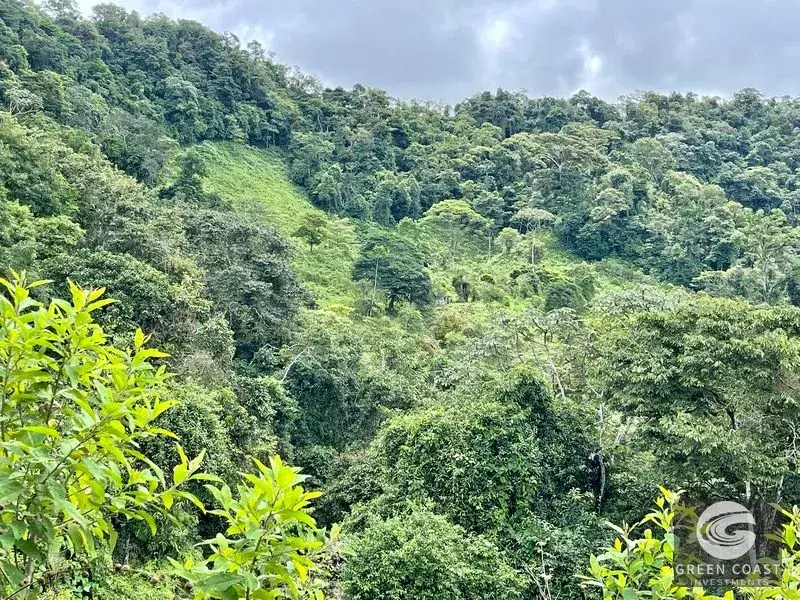 83-Acre Ocean View Mountain Estate with Waterfalls and Natural Springs in Uvita — view 17, Bahía Ballena, Osa, Costa Rica