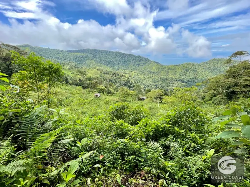 83-Acre Ocean View Mountain Estate with Waterfalls and Natural Springs in Uvita — view 25, Bahía Ballena, Osa, Costa Rica