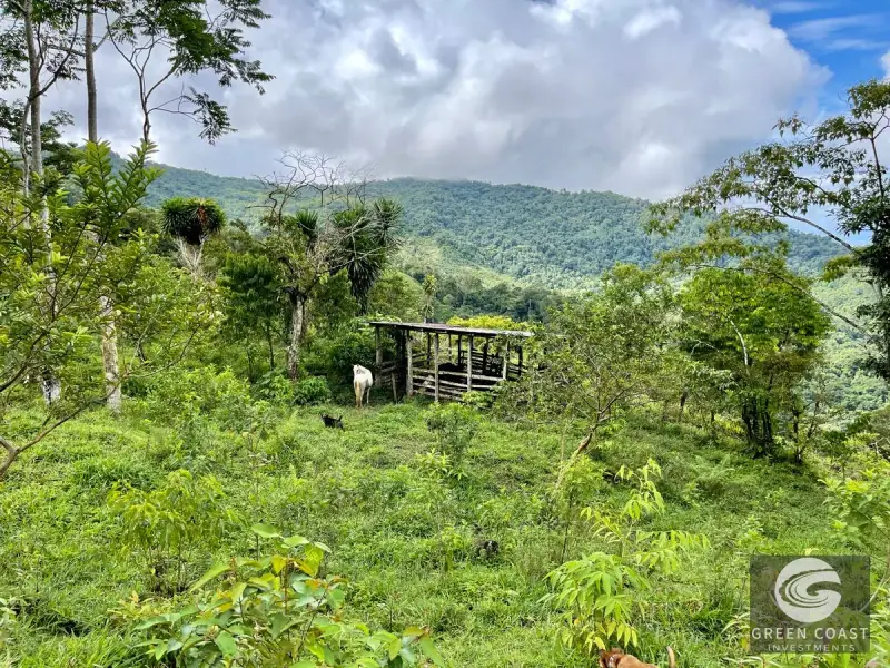 83-Acre Ocean View Mountain Estate with Waterfalls and Natural Springs in Uvita — view 34, Bahía Ballena, Osa, Costa Rica